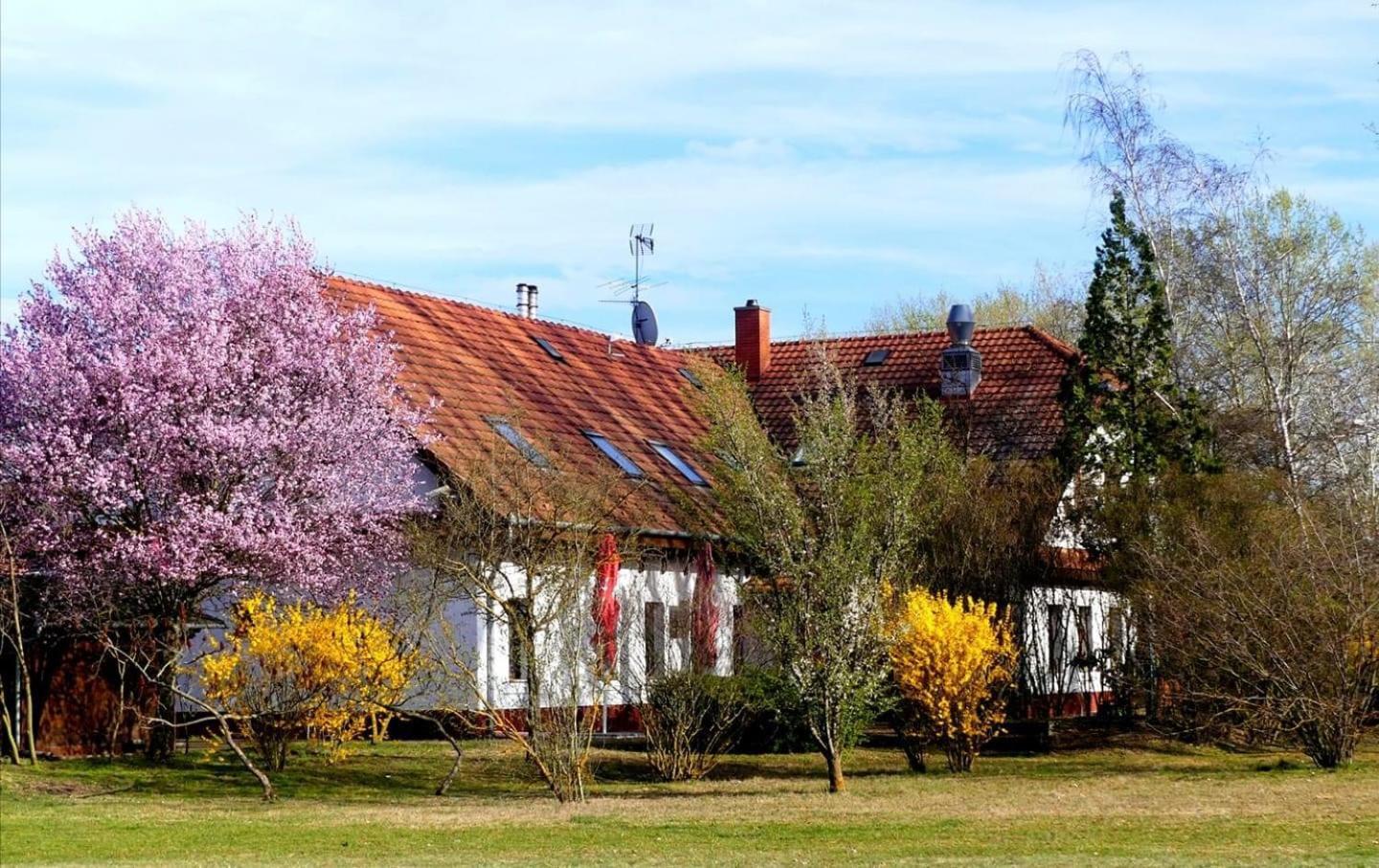 Kigyosi Csarda & Panzio Bed and Breakfast Fulopszallas Exteriör bild